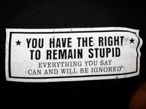 stupid you have the right to remain