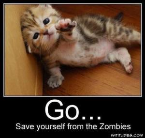 go save yourself from the zombies