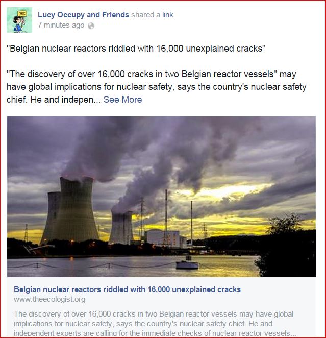 Belgian nuclear reactors riddled with 16000 unexplained cracks