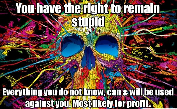 stupid you have the right to remain